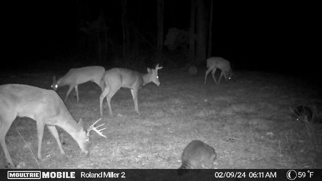 398,256,520,28571714,1516896:0:37466147,142,8