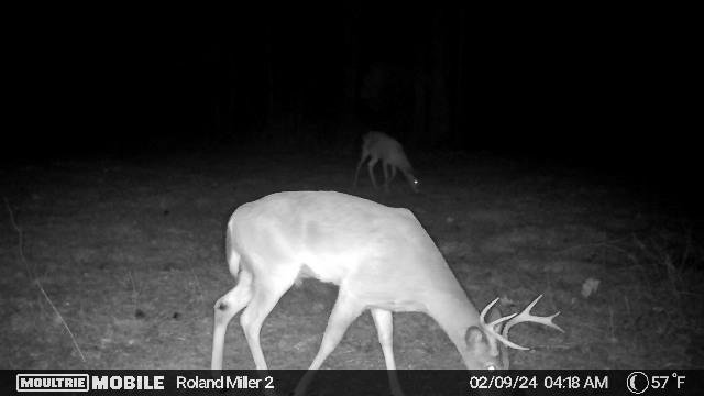 398,256,520,63115456,2657886:0:66793594,142,8