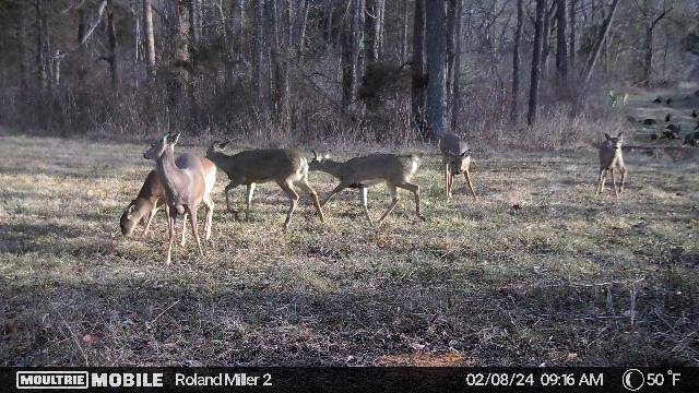 360,256,467,1345294336,11963942:2040:1345294336,104,211