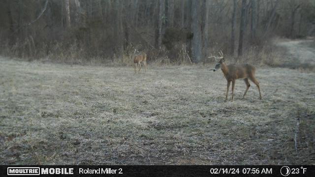 448,256,370,3978215293,8633990:257:3978215293,192,114