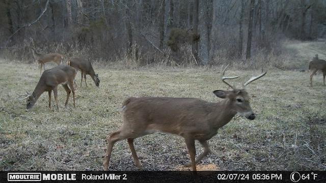 411,256,395,3039950266,8246850:236:3039950266,156,140