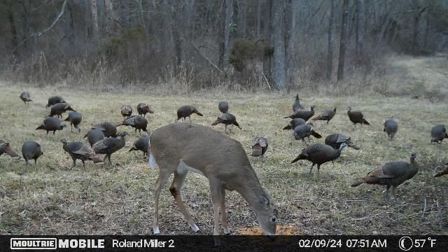 434,256,376,975622367,6604409:63:975622367,179,121