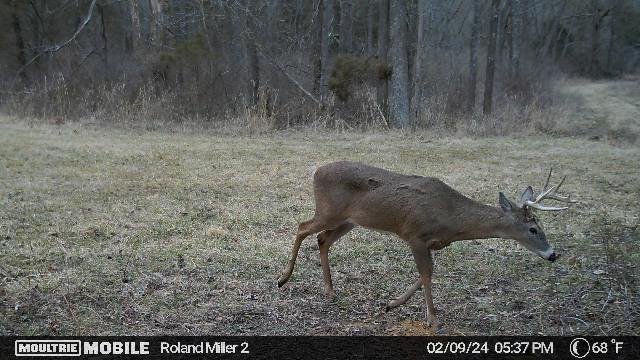 389,256,424,4092971855,8678817:236:4092971855,133,168