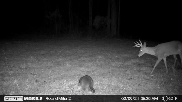 398,256,520,28571714,1516896:0:28571714,142,8