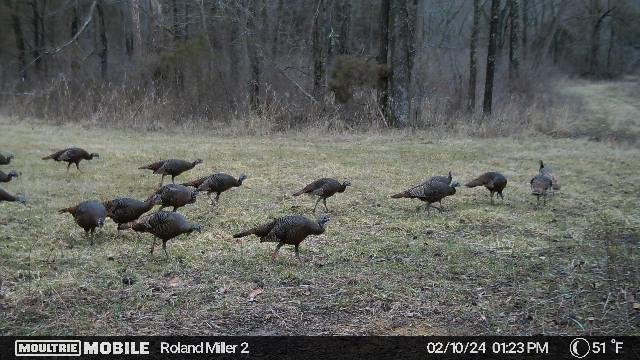 374,256,449,254567360,11564033:2035:254567360,118,194