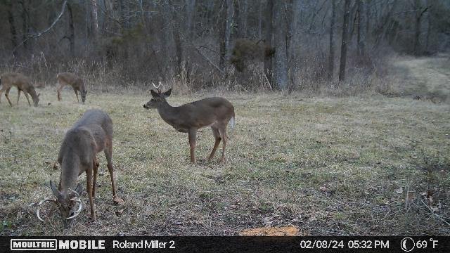 385,256,437,2596633724,8094795:173:2596633724,129,182