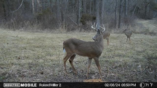 451,256,362,499891148,5642159:21:499891148,196,106