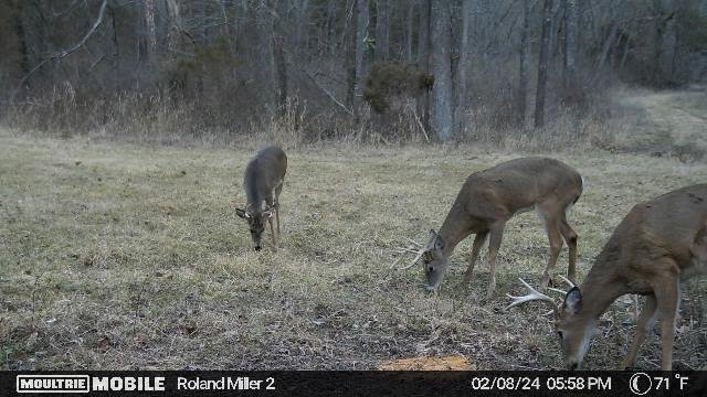 478,256,345,437947685,5453985:21:437947685,223,89