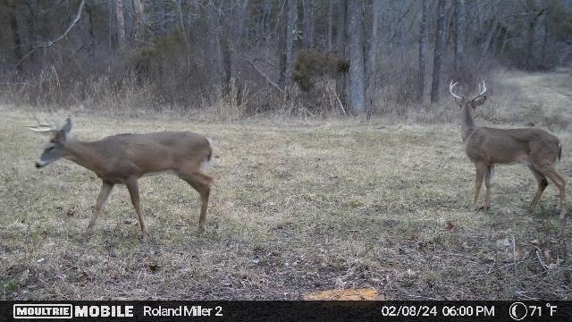 486,256,342,504766000,5657393:21:350304905,232,86