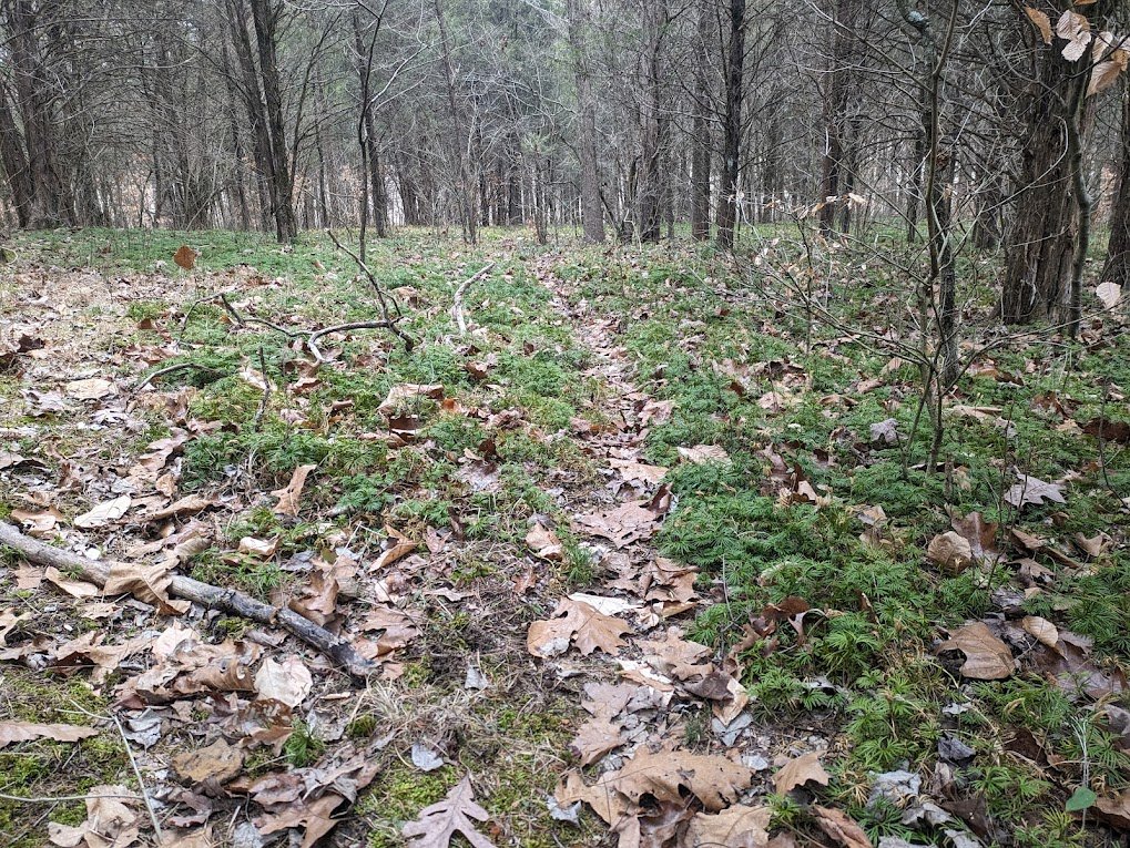 Roland miller pic 11