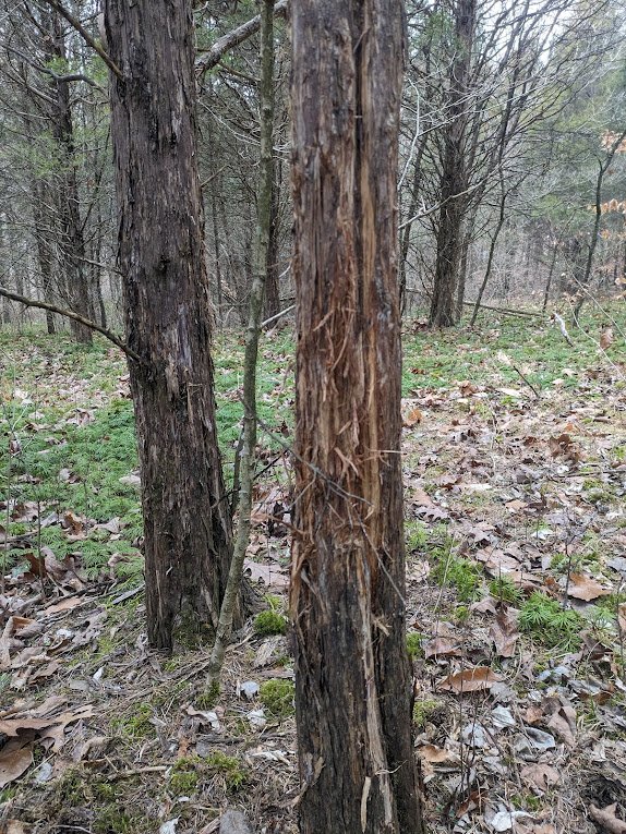 Roland miller pic 12