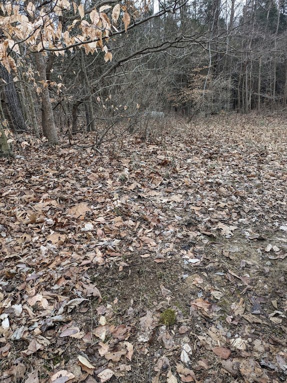 Roland miller pic 13