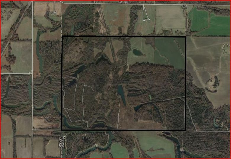 barton-mo_111519a--1