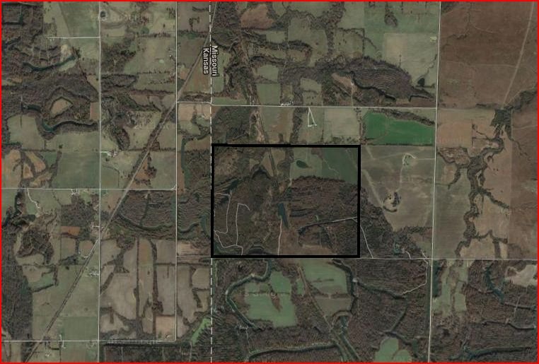 barton-mo_111519a--5