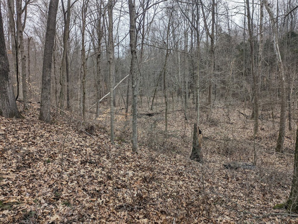 roland miller pic 10